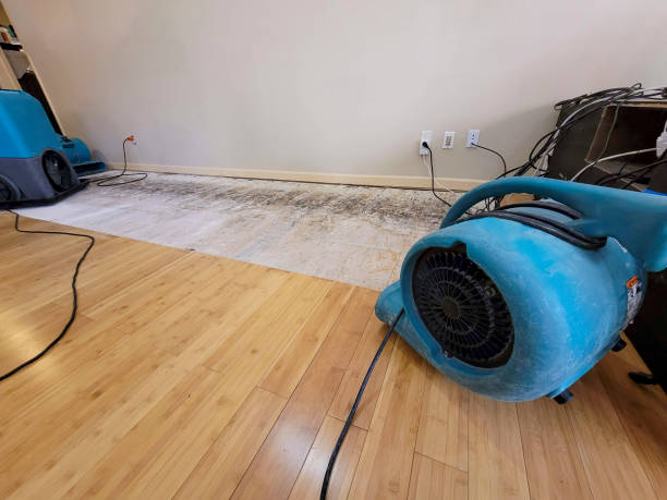 Professional Ceiling Water Damage Repair technician working in Brunswick, OH